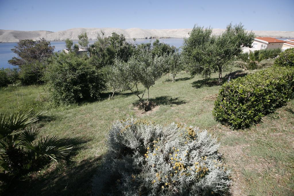 Apartments Roza Miškovići 외부 사진