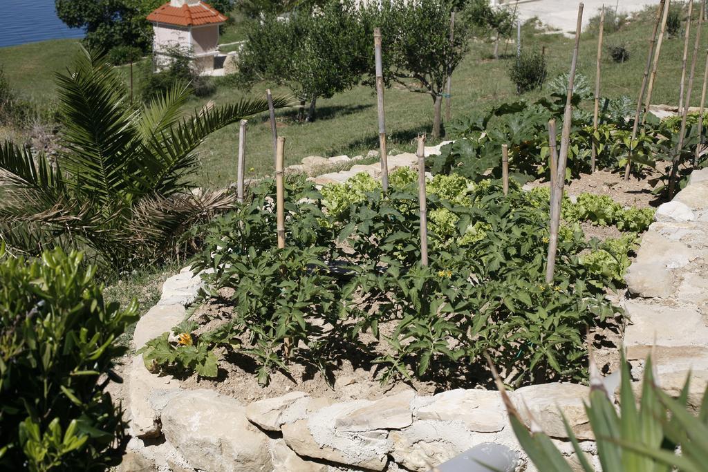 Apartments Roza Miškovići 외부 사진